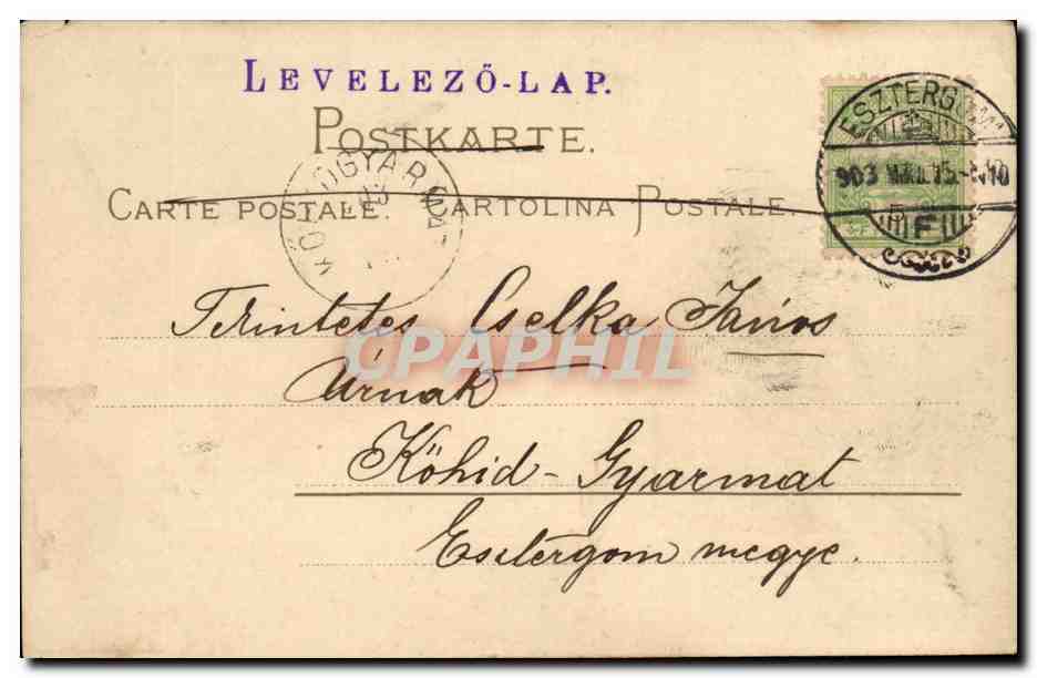 Fleur - Framboises - Rasberries - Fruit - CPA (carte hongroise Hungary Hongrie) — Rückseite