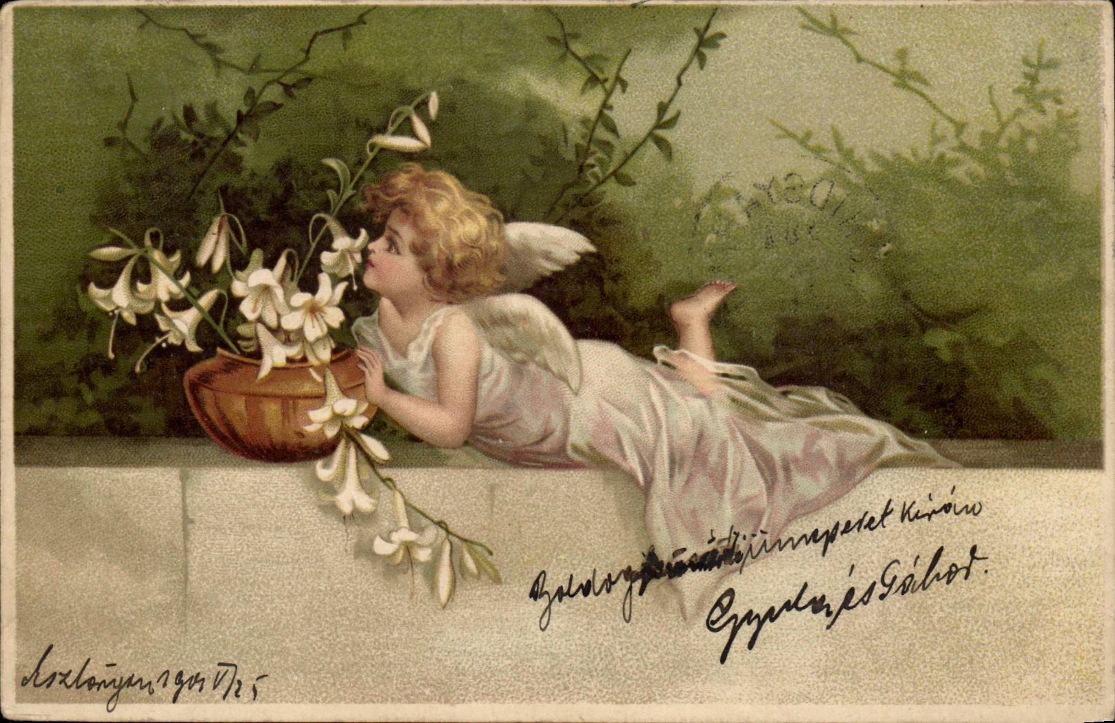 Ange enfantin parfumant des lys — édition anonyme — datée 1905