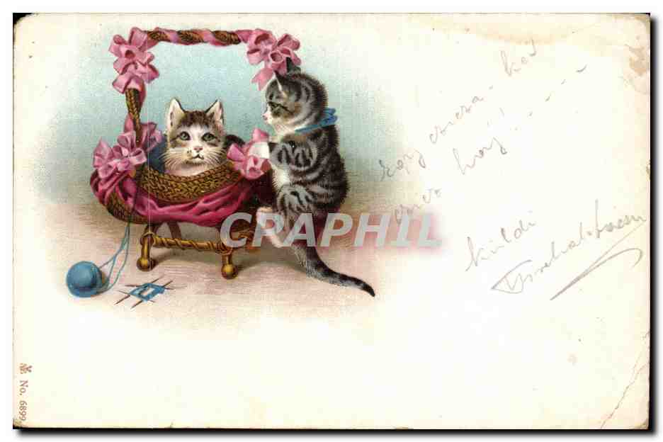 Animaux - Chat - Chaton - Cat in a decorated basket - CPA (carte hongroise Hungary Hongrie)