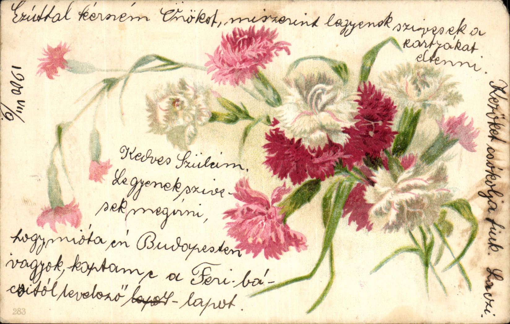 Fleur - Flower - Carnation - CPA (carte hongroise Hungary Hongrie)