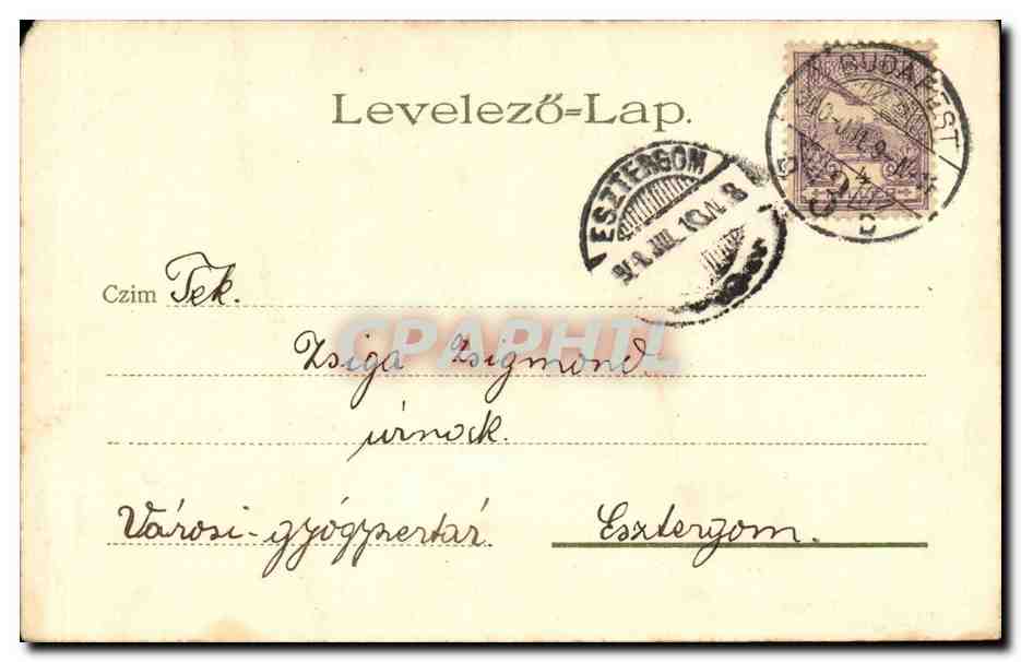Fleur - Flower - Carnation - CPA (carte hongroise Hungary Hongrie) — Rückseite
