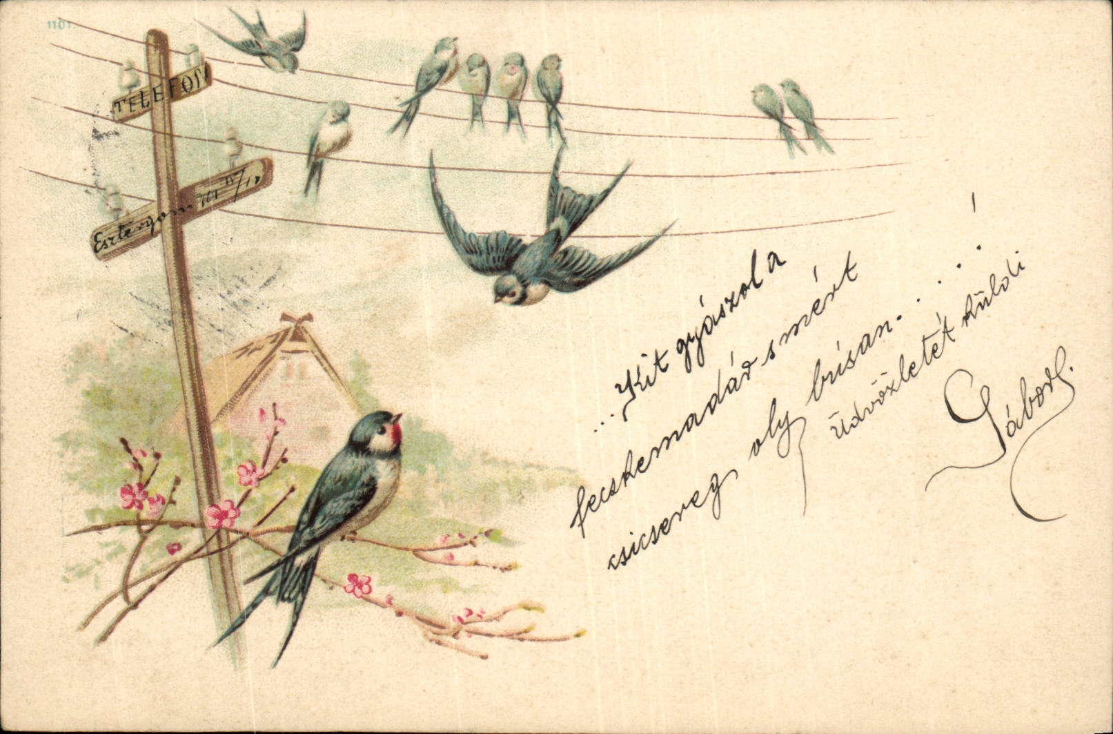 Animaux - Oiseaux - Birds on a telephone wire - CPA (carte hongroise Hungary Hongrie)