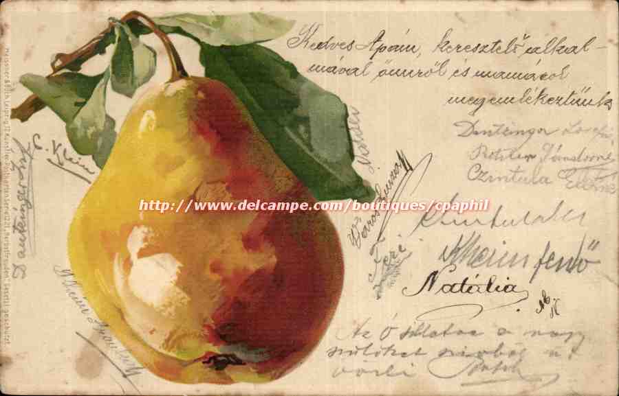 Fruits - Poire - Pear - Birne CPA (carte hongroise Hongrie Hungary)