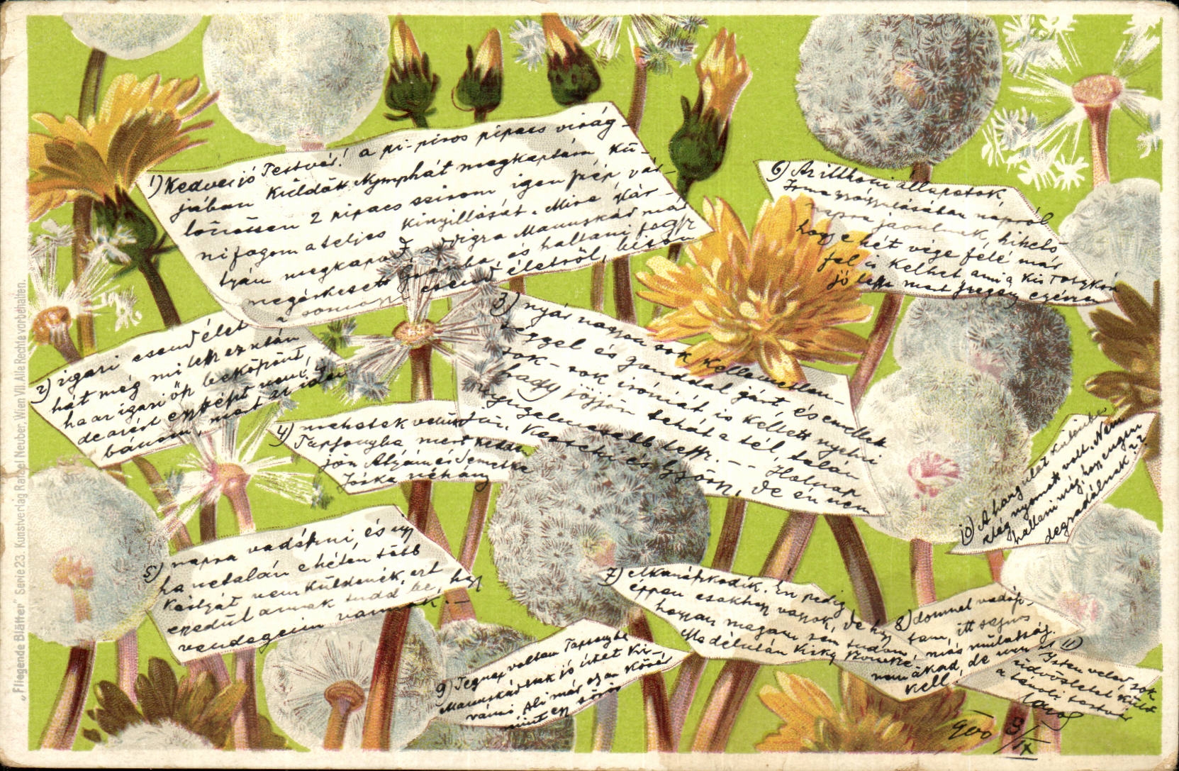 Fleurs - Pissenlits - Dandelions bursting with messages (carte hongroise Hungary Hongrie)