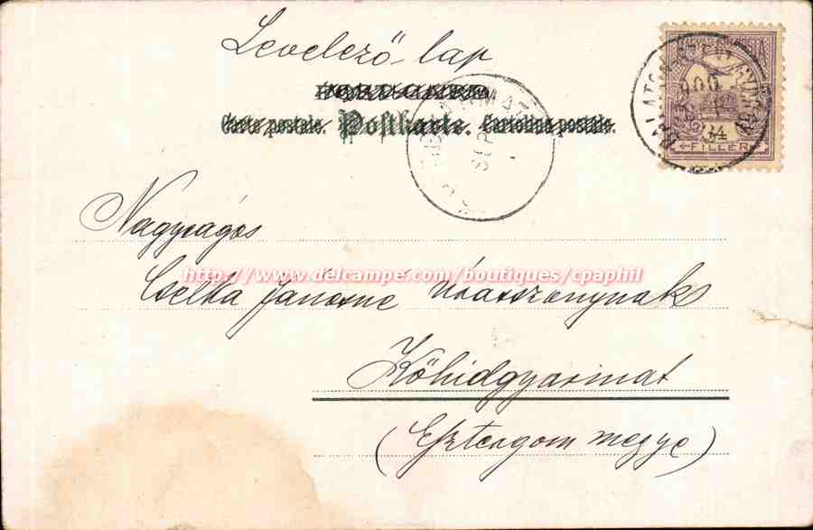 Fleurs - Pissenlits - Dandelions bursting with messages (carte hongroise Hungary Hongrie) — Verso