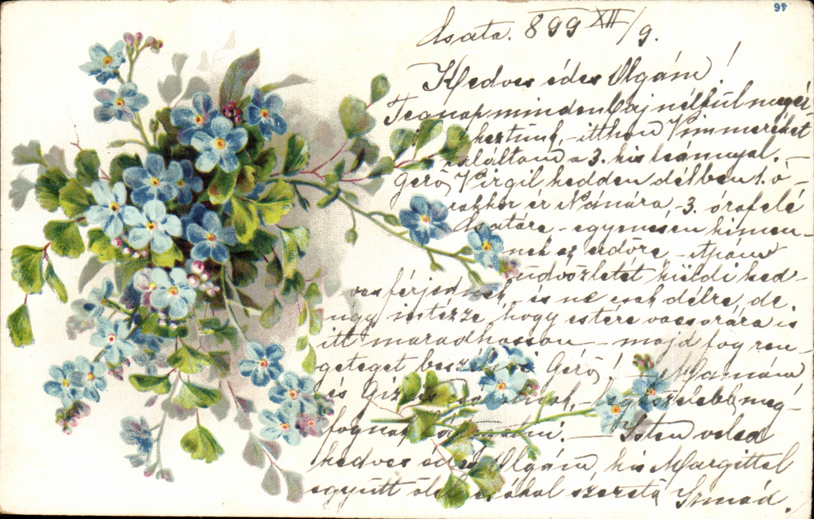Fleurs - Small blue blossoms - flowers (carte hongroise Hungary Hongrie)
