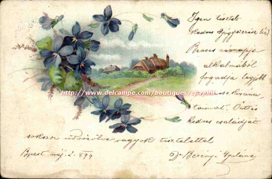 Fleurs - Violets surrounding cozy cottage - flowers (carte hongroise Hungary Hongrie)