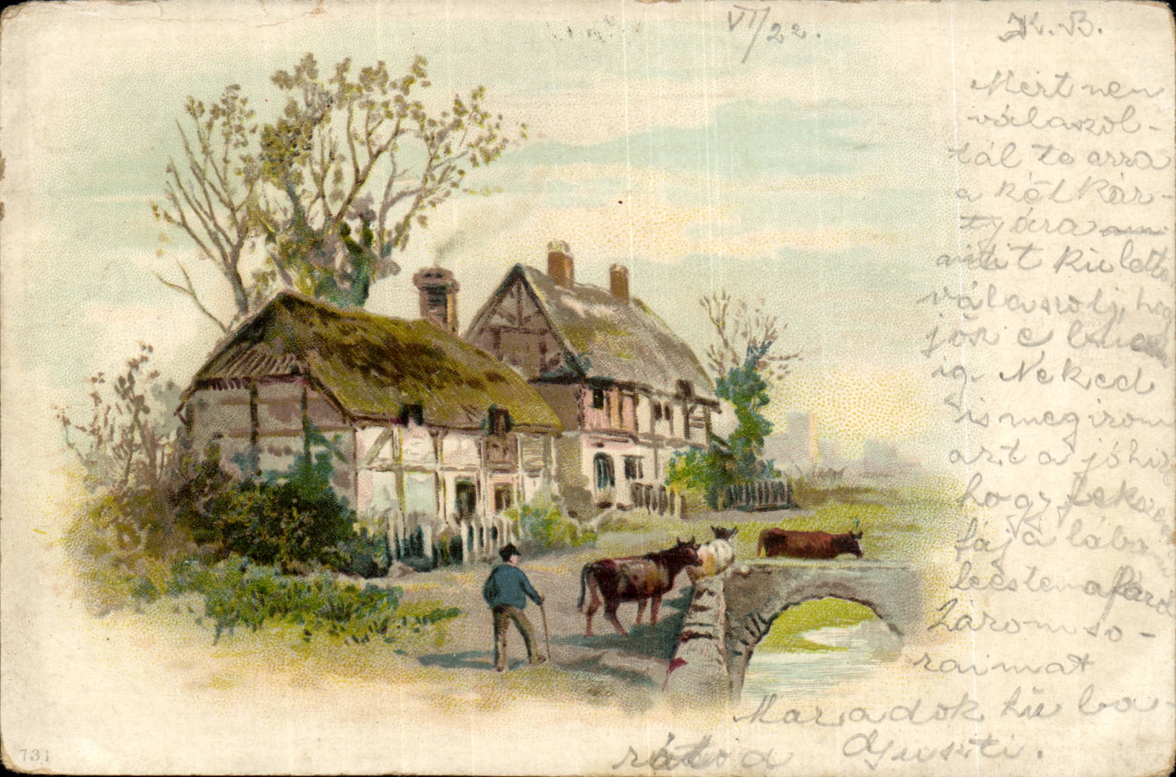 Animaux - Taureaux - Cozy cottage and bulls (carte hongroise Hungary Hongrie)