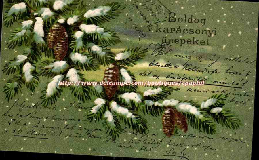 Arbres - Snow covered pine tree - sapin (carte hongroise Hungary Hongrie)