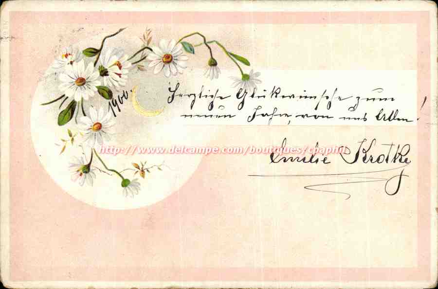 Fleurs - Dainty daisies - flowers (carte hongroise Hungary Hongrie)