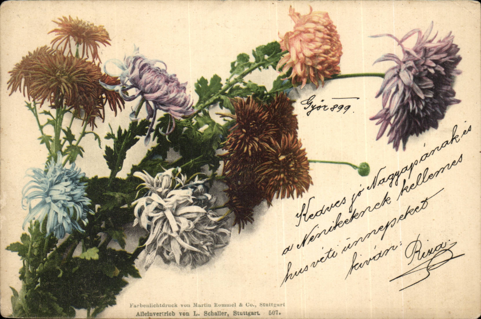 Fleurs - Colorful bouquet - flowers (carte hongroise Hungary Hongrie)