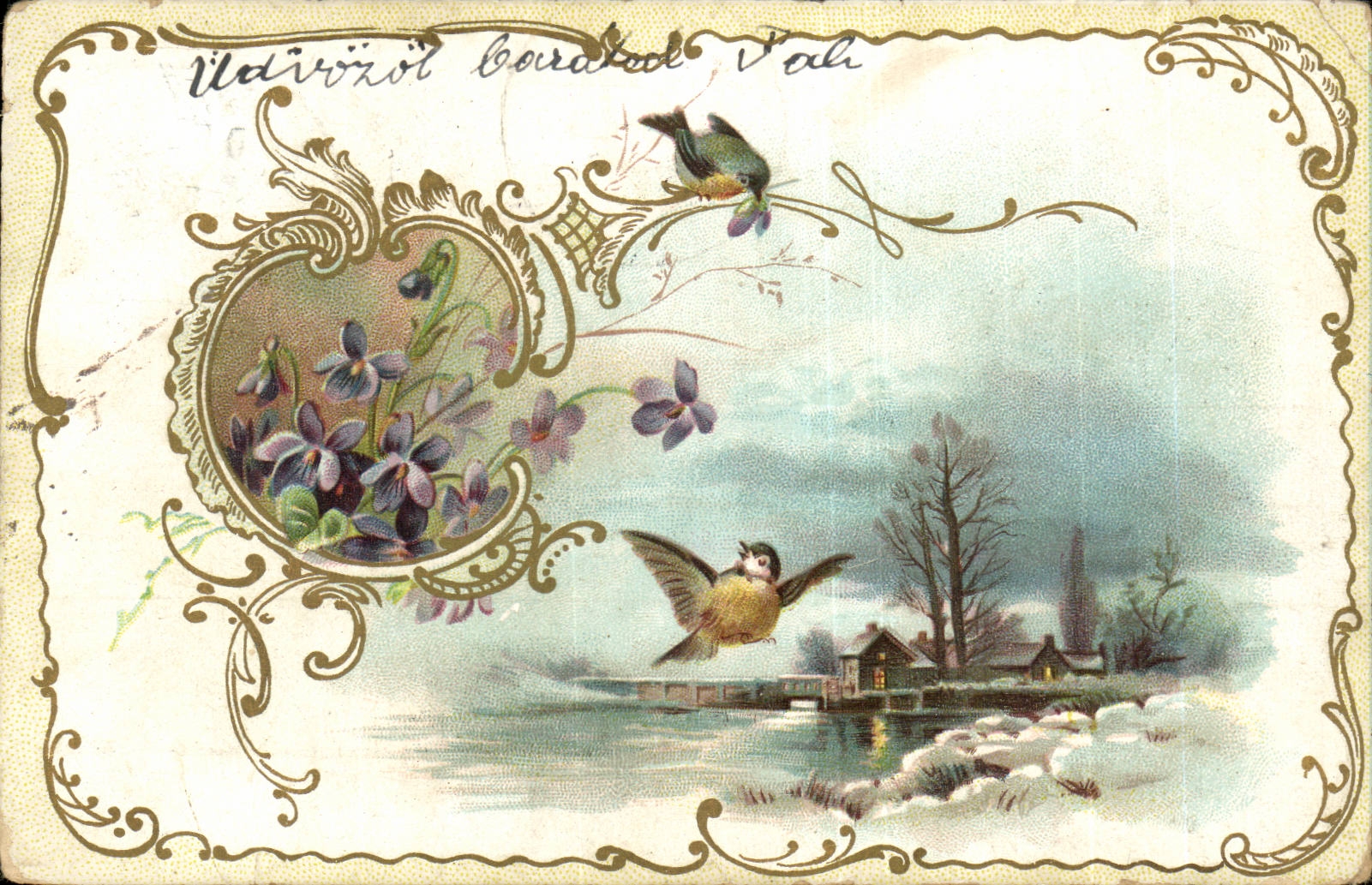 Animaux - Oiseaux - Birds flying through decorative scene (carte hongroise Hungary Hongrie)