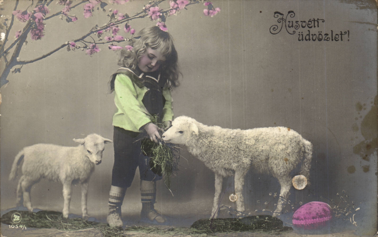 Fantaisie - Enfant - Adorable Chil feeding lambs (carte hongroise Hungary Hongrie)