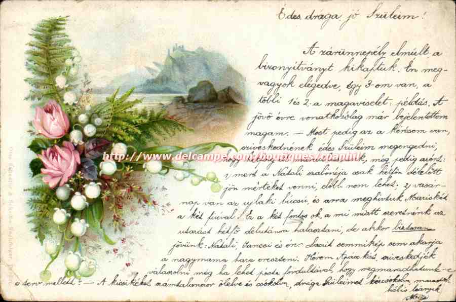 Fleurs et paysage — carte postale hongroise — éditeur : 'Németi Károly' (impression visible en bas à gauche)