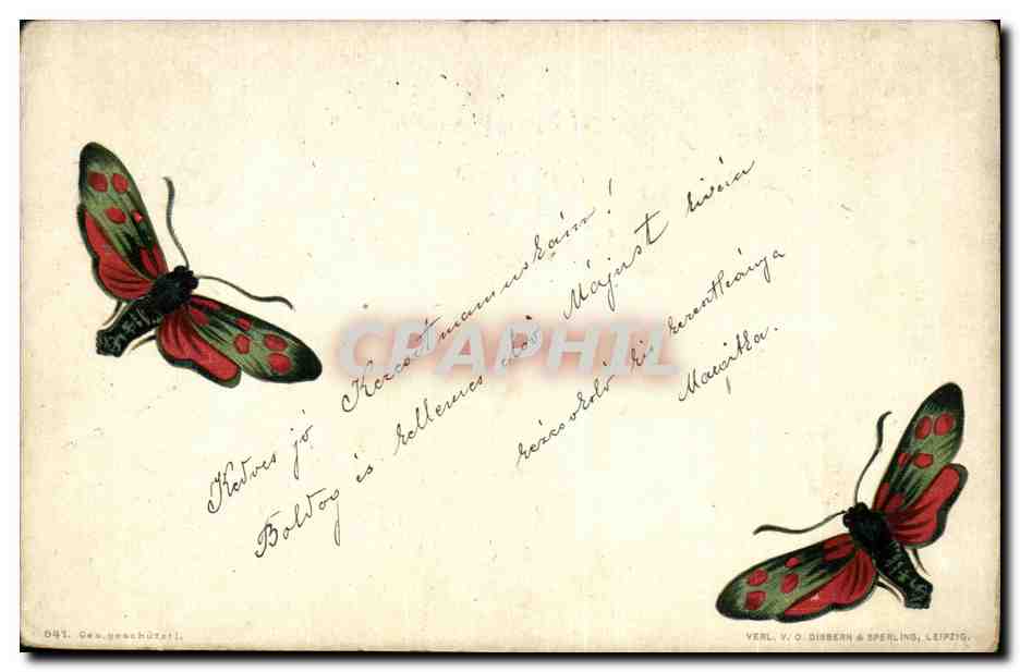 Animaux - Insectes - Brown Moths (carte hongroise Hungary Hongrie) Papillon Butterfly