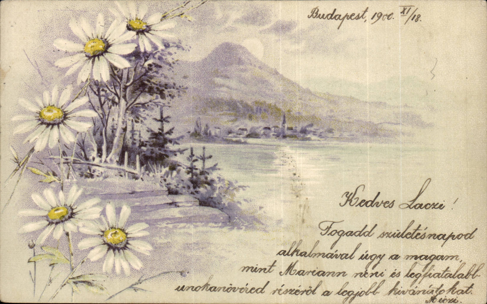 Fleurs - Budapest 1900 - Daisy tress (carte hongroise Hungary Hongrie) - CPA 