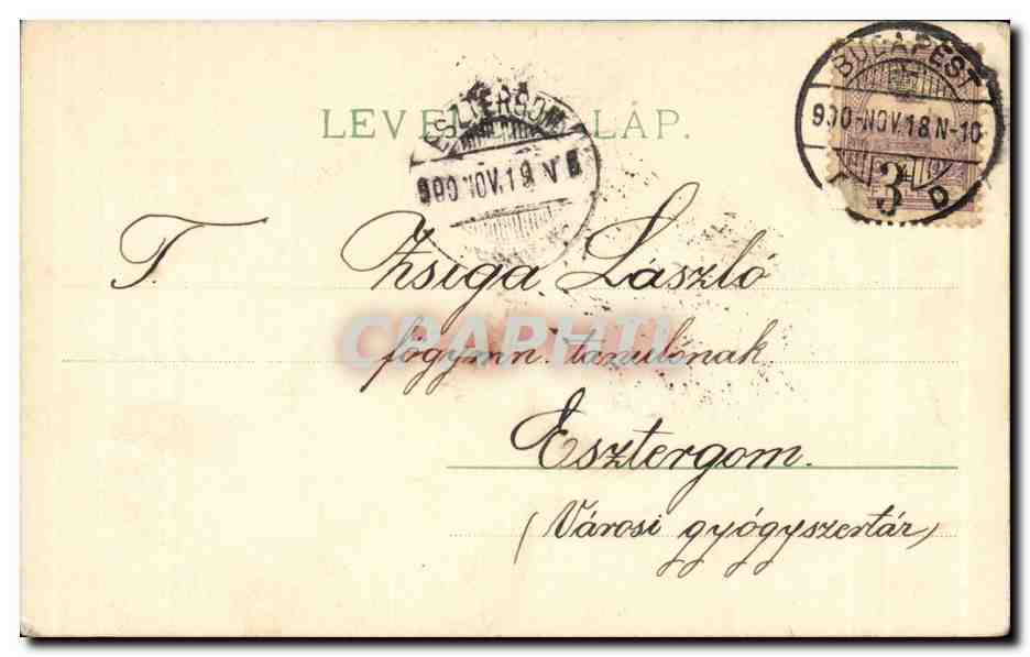 Fleurs - Budapest 1900 - Daisy tress (carte hongroise Hungary Hongrie) - CPA  — Rückseite