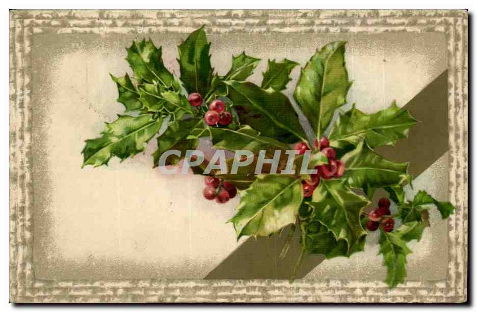 Branches de houx — carte de Noël — éditeur non identifié