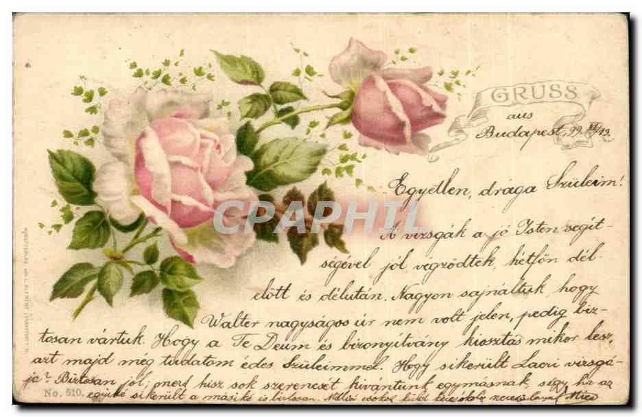 Fleurs - Gruss aus Budapest - Yellow roses (carte hongroise Hungary Hongrie) - CPA 