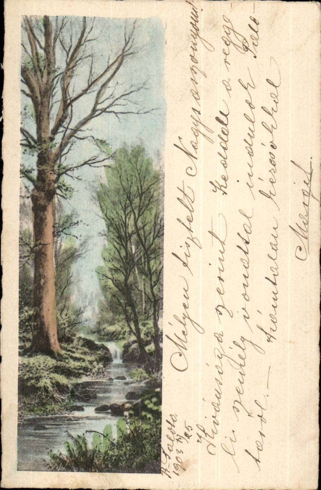 Arbres - Winter scene (carte hongroise Hungary Hongrie) - CPA 