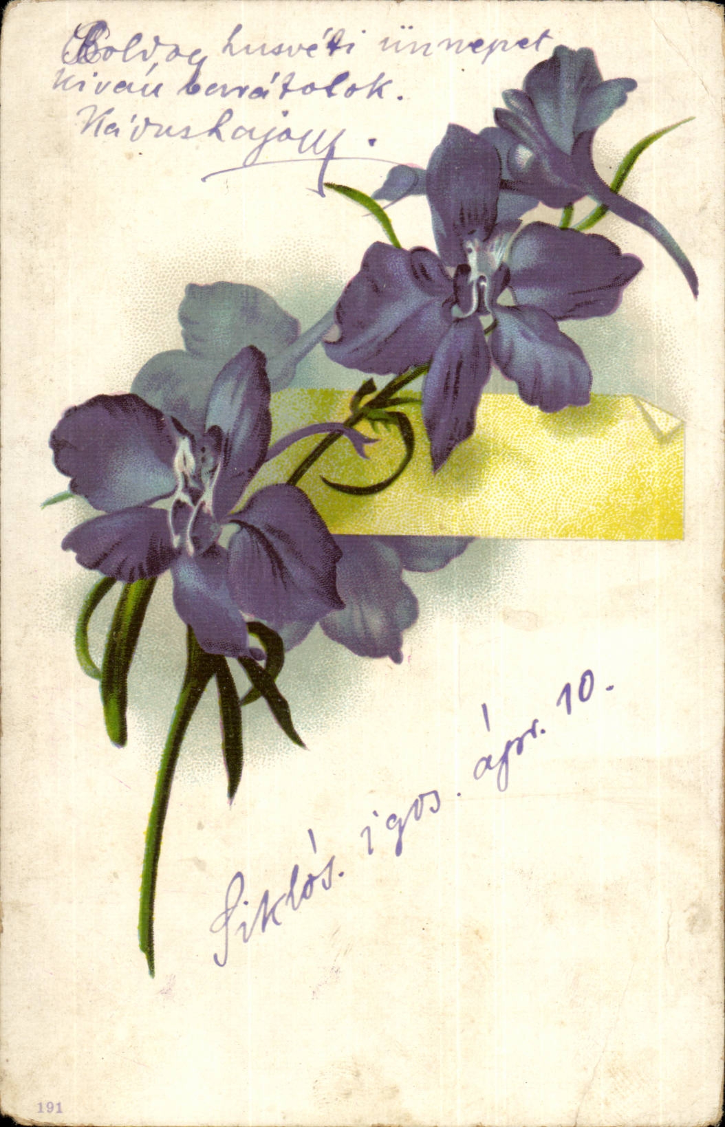 Fleurs - Beautiful Purple Flowers (carte hongroise Hungary Hongrie) - CPA 
