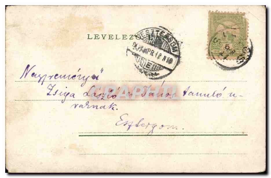 Fleurs - Beautiful Purple Flowers (carte hongroise Hungary Hongrie) - CPA  — Back