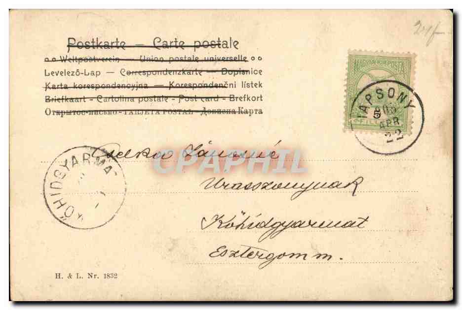Animaux - Oiseau - Grenouille - Funny frog with cigar and bird(carte hongroise Hungary Hongrie)- CPA  — Rückseite
