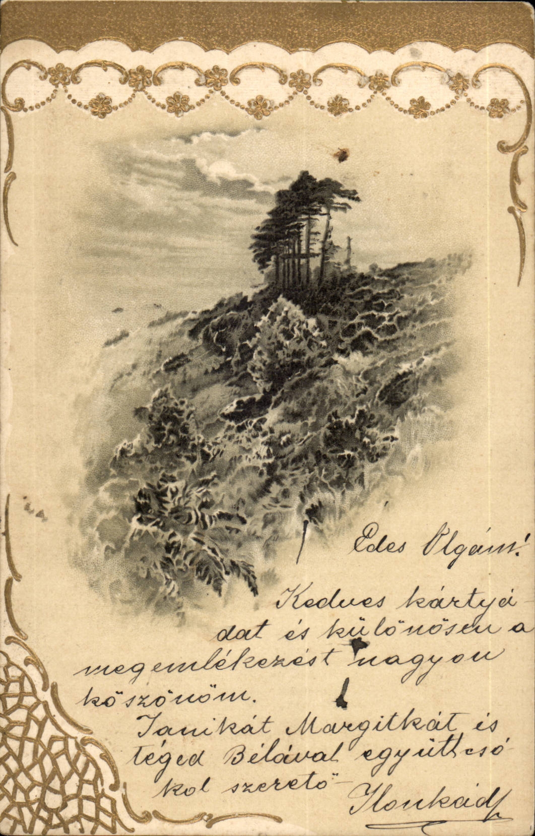 Vue de montagne — paysage avec pin isolé — éditeur non visible