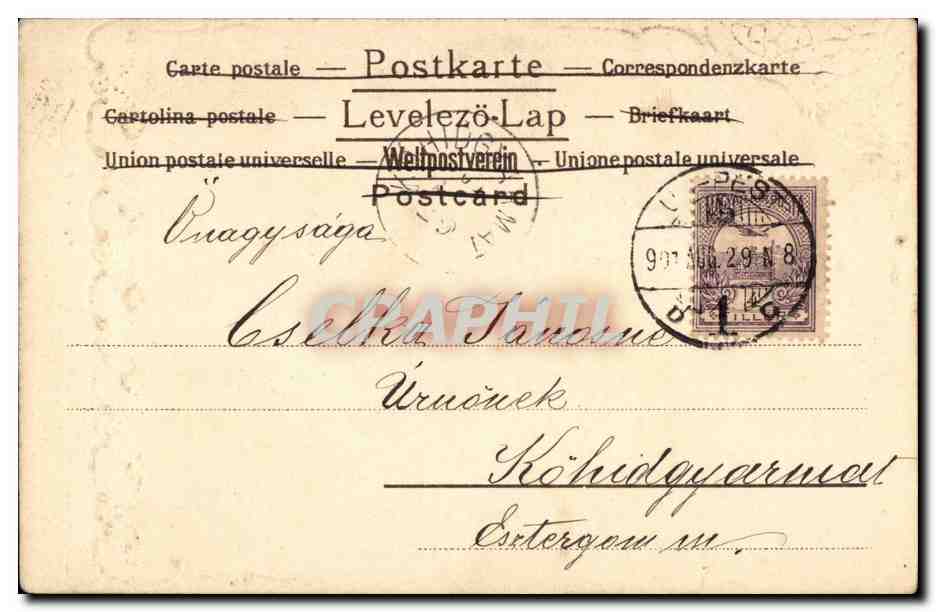 Vue de montagne — paysage avec pin isolé — éditeur non visible — Verso