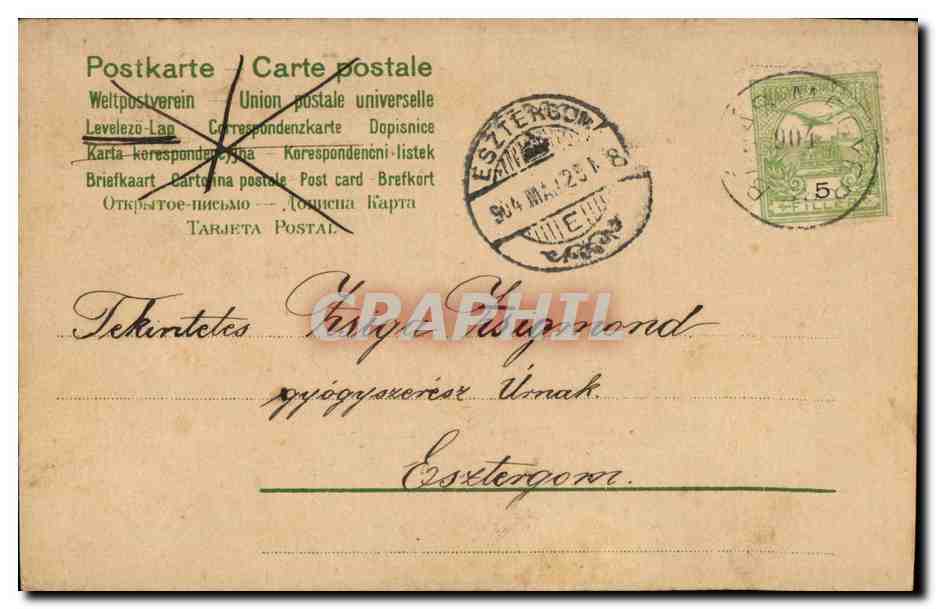 Joven mujer con rosas — tarjeta postal húngara — editor no visible — Reverso