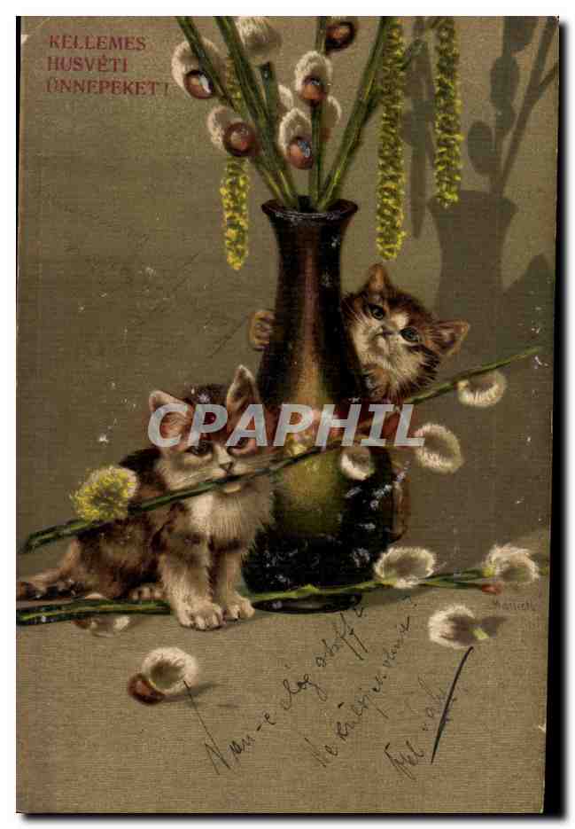 Animaux - Chats - Sweet Cats playing with pussywillows (carte hongroise Hungary Hongrie) - CPA 