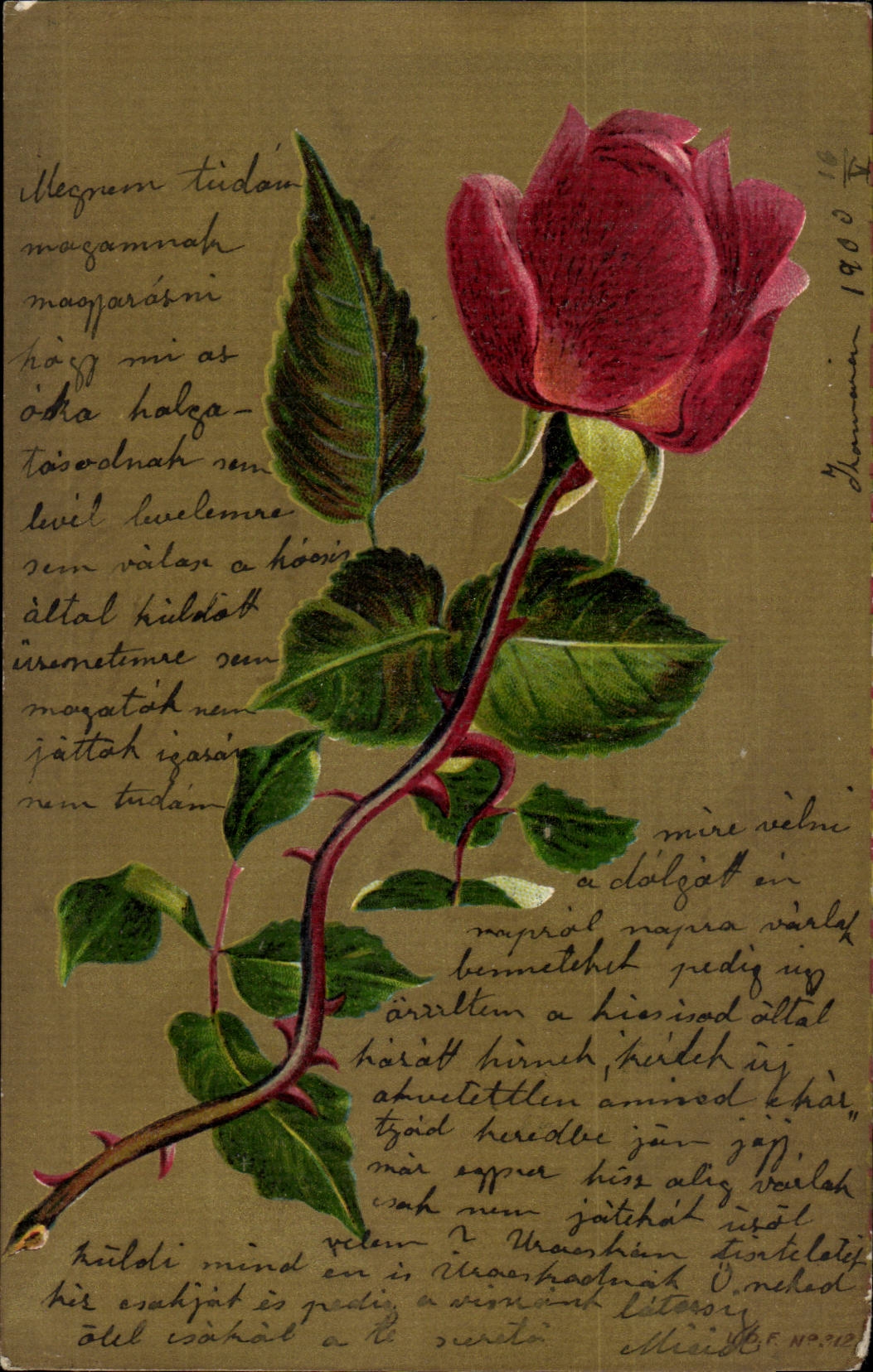 Fleur - Flower - Rose - Rouge - CPA (carte hongroise Hongrie Hungary)