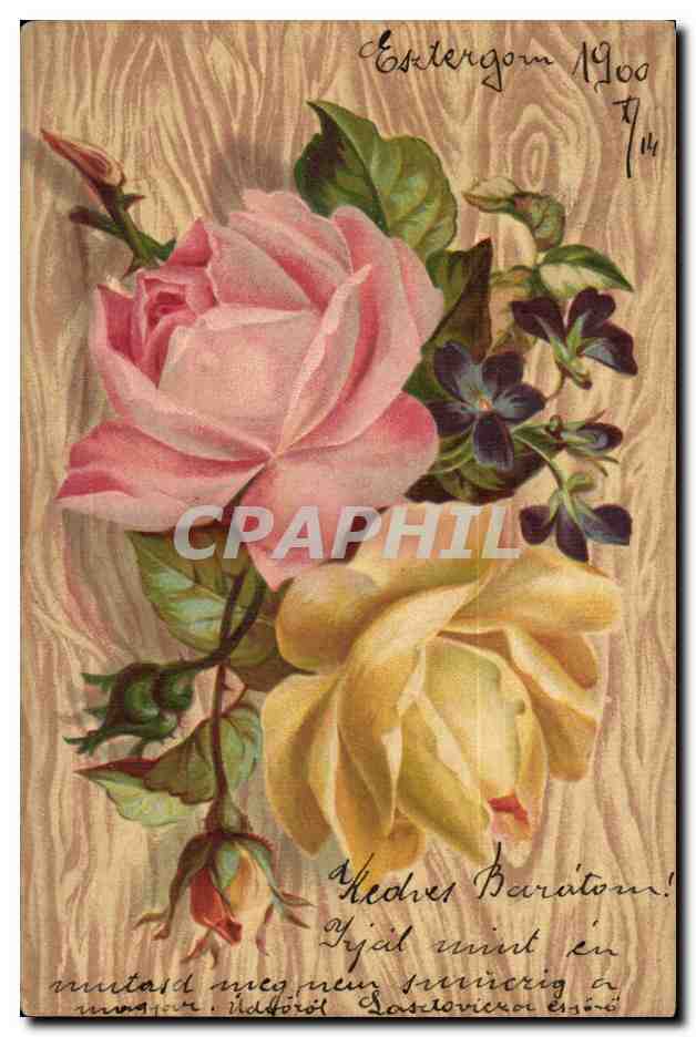 Fleur - Flower - Rose - 1900 CPA (carte hongroise Hongrie Hungary)