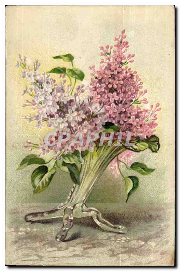 Fleur - Flower - lilac - Joli bouquet CPA 