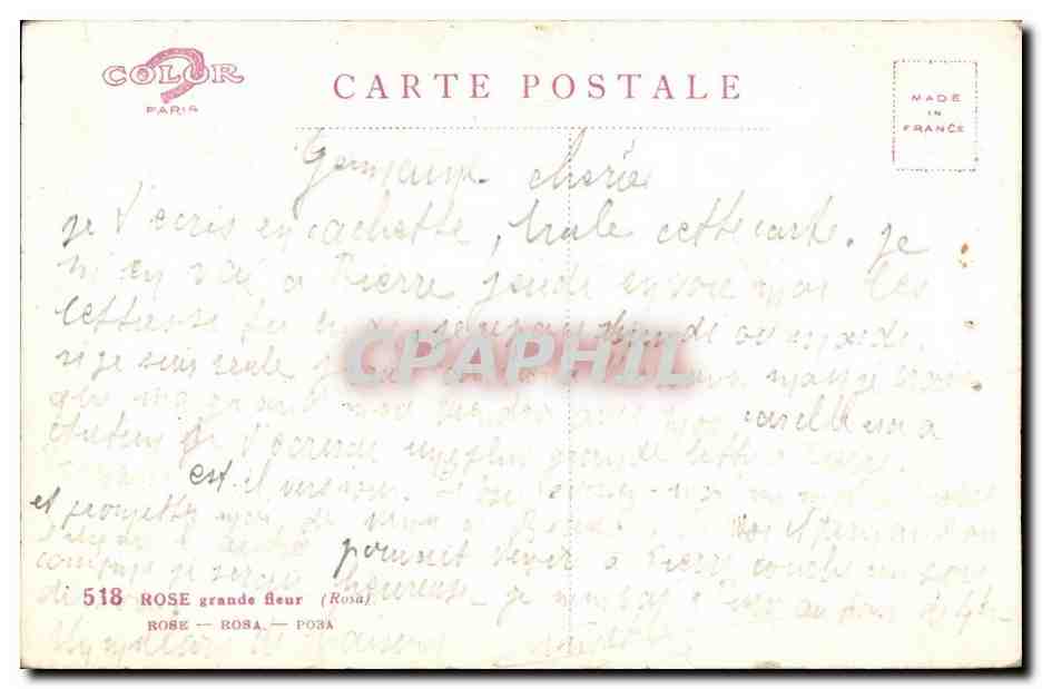 Fleur - Flower - Rose - CPA  — Verso