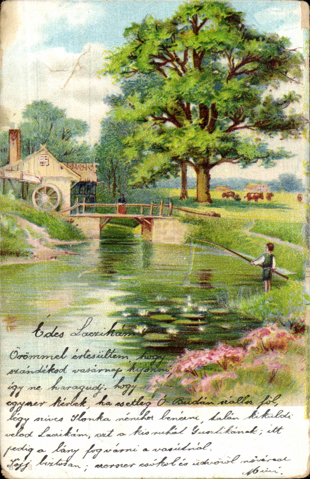 Arbres - Relaxing country scene (carte hongroise Hungary Hongrie) CPA 