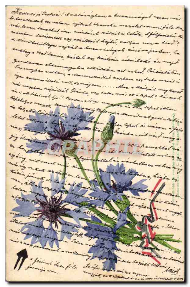 Fleurs - Flowers - blue blossoms (carte hongroise Hungary Hongrie) -CPA 