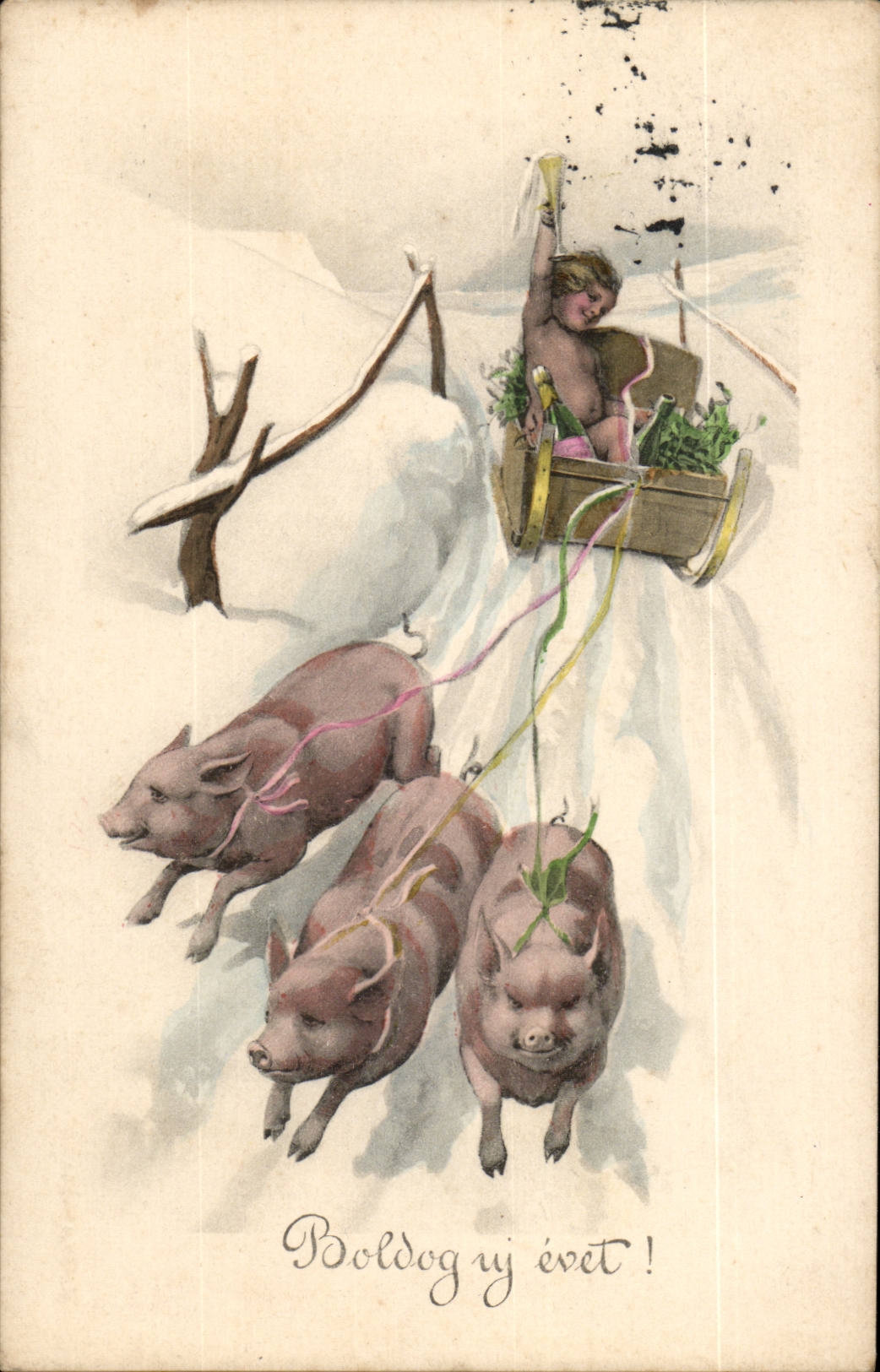 Fantaisie - Enfant - Naked child in pig driven sled - cochon (carte hongroise Hungary Hongrie) -CPA 