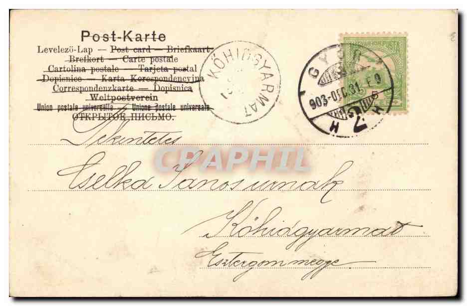Animaux - Portly pig with basket of flowers - cochon (carte hongroise Hungary Hongrie) -CPA  — Back