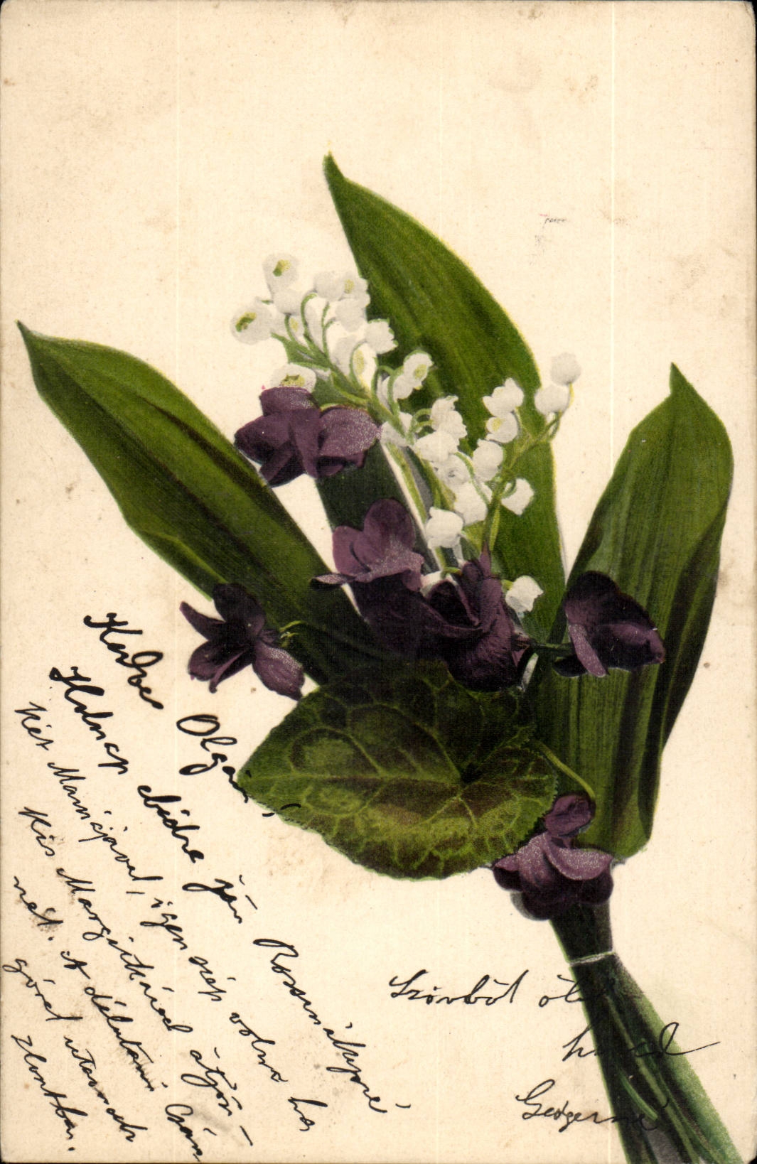 Fleurs - Delicate white flowers (carte hongroise Hungary Hongrie) -CPA 