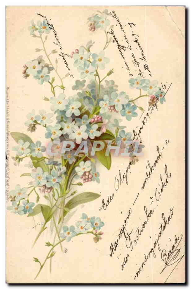 Fleur - Small delicate blue fowers (carte hongroise Hungary Hongrie) -CPA 