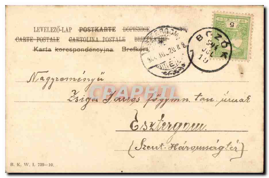 Femme en robe rose — décor de roses — éditeur E. Schienol — Verso