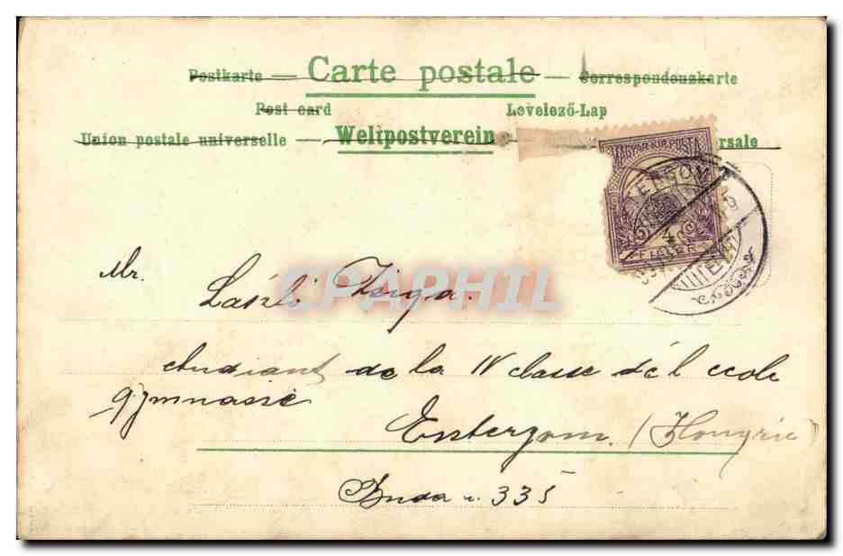 Fleur - Flower - Colorful Pansie (carte hongroise Hungary Hongrie) -CPA  — Rückseite
