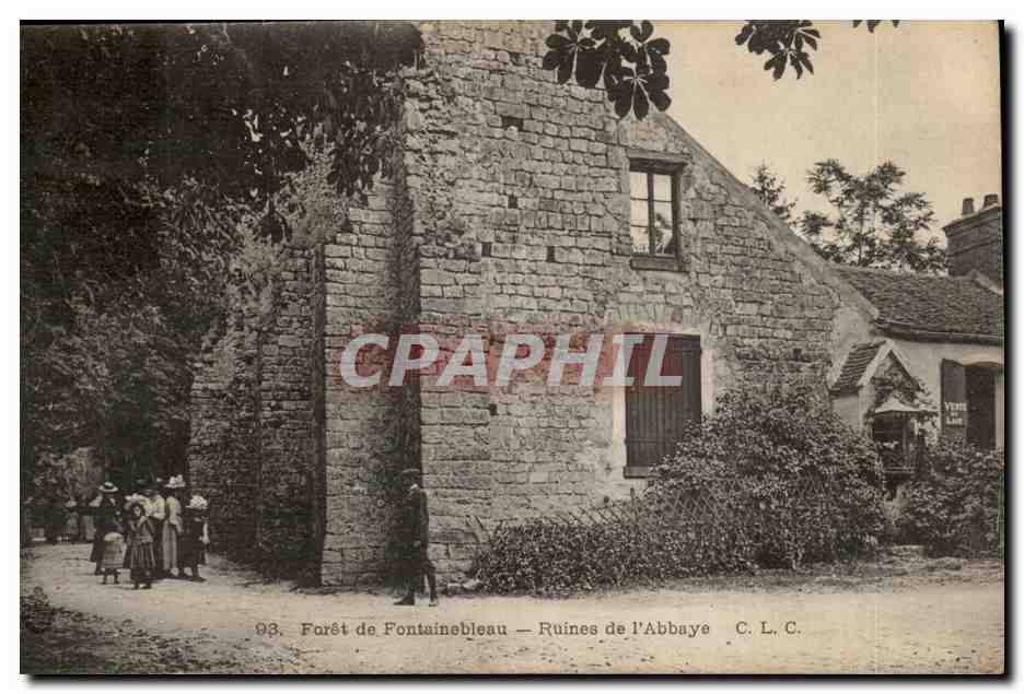 Forêt de Fontainebleau — Ruines de l'Abbaye — C. L. C.