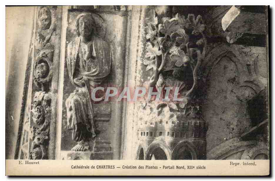 CPA Cathedrale de Chartres Cration des plantes Portail nord 13eme