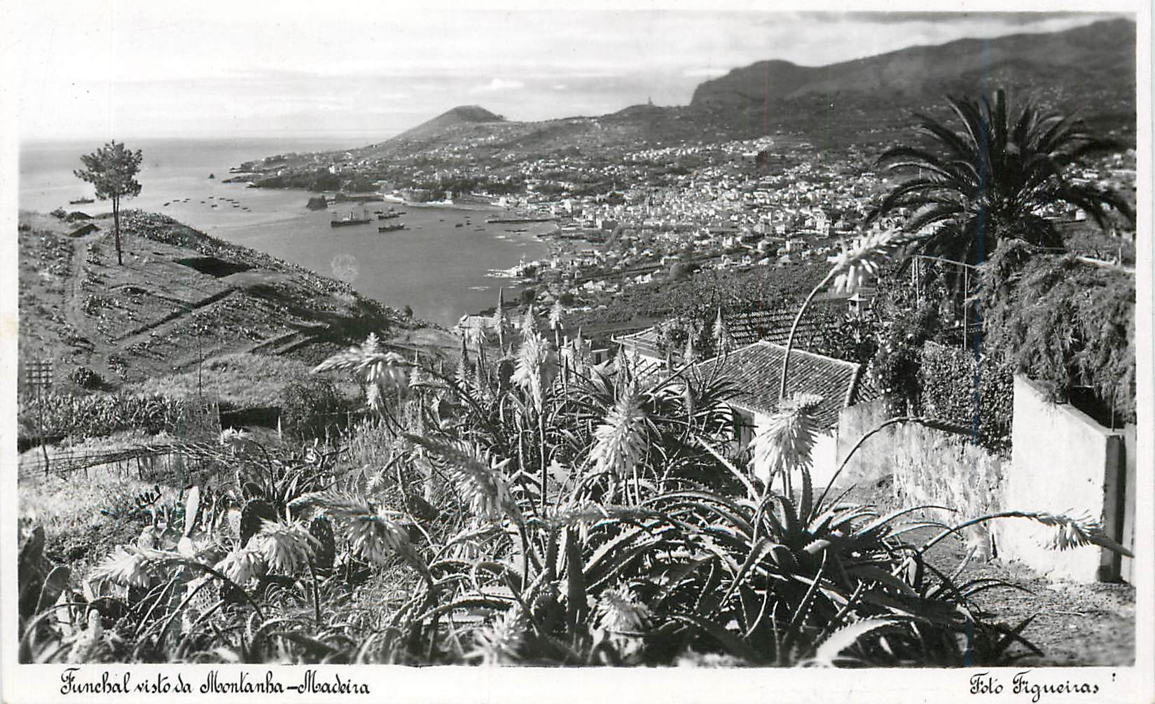 CPM Funchal visto da Monkanha Madeira 