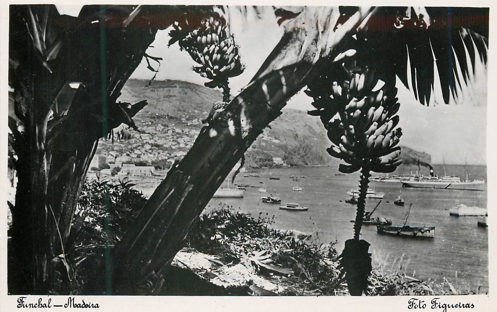 CPM Funchal Madeira 