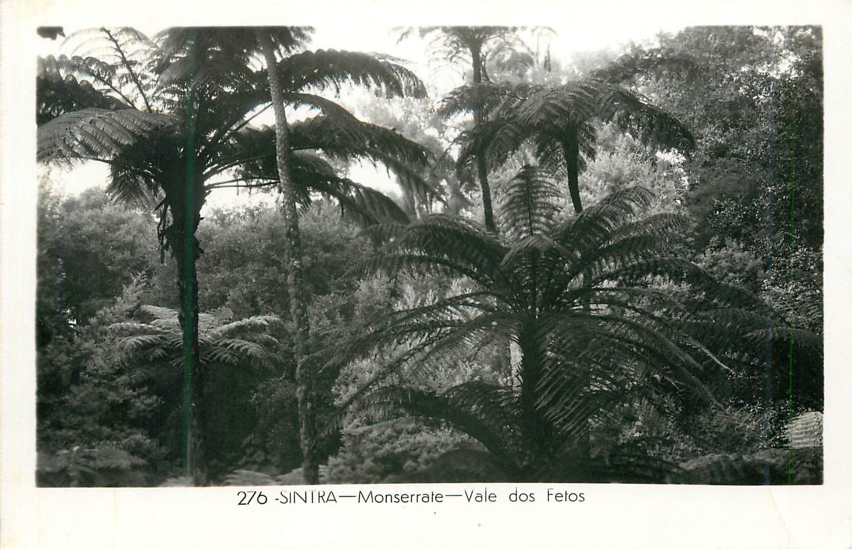 CPM Sintra Monserrate Vale dos Felos 