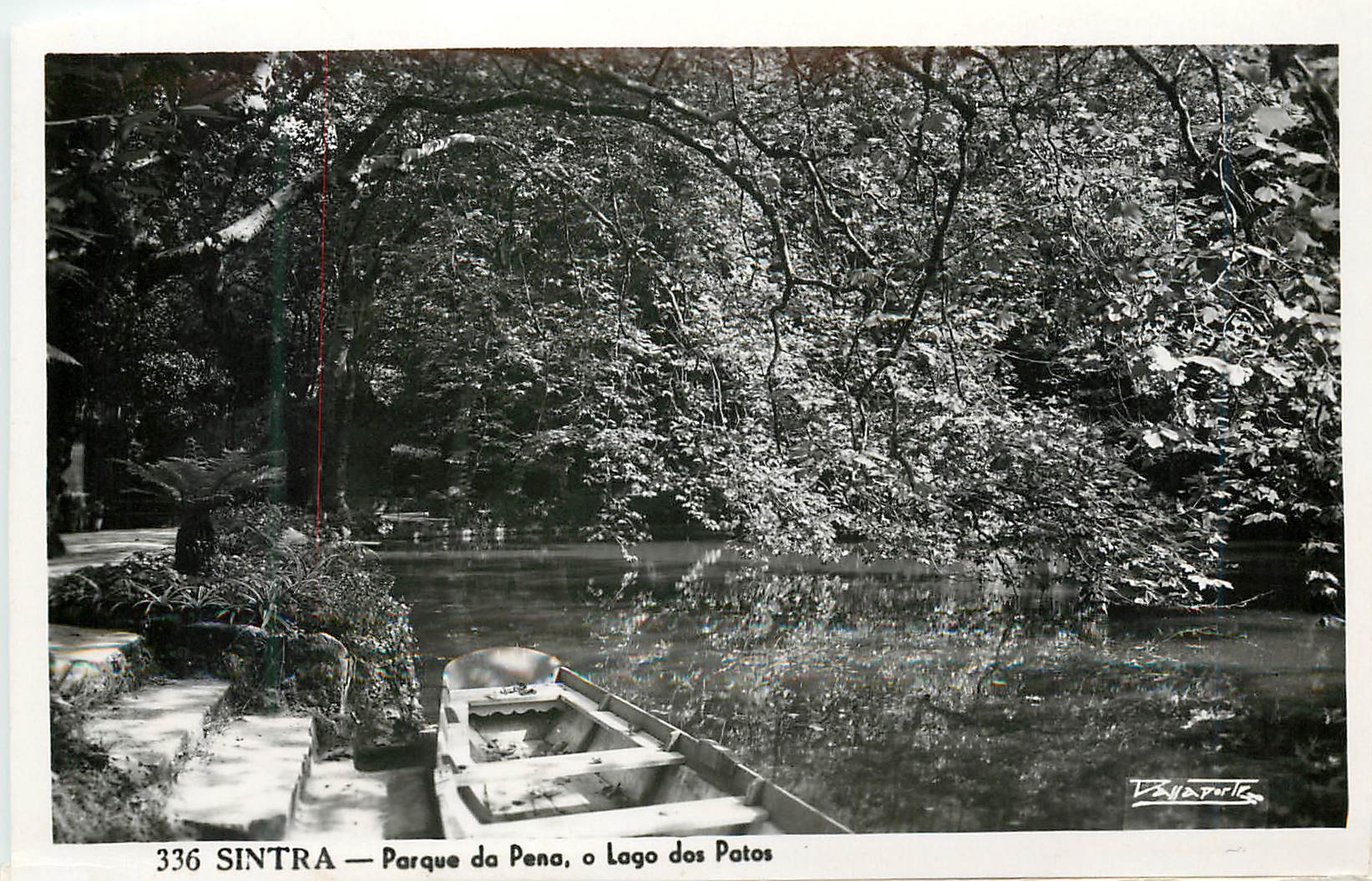 CPM Sintra Parque da Pena o Lago dos Patos 