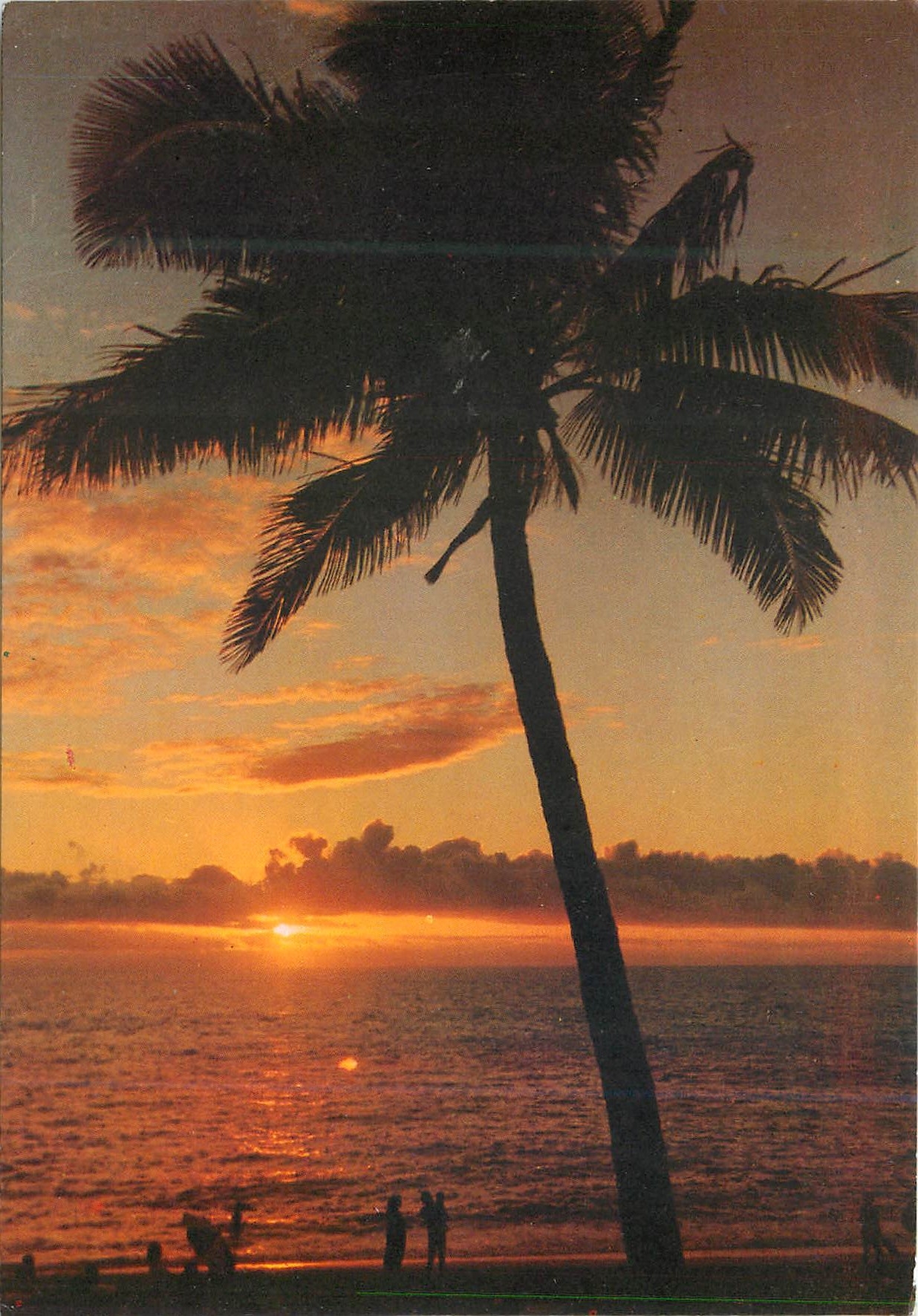 CPM Ile de la Reunion France Ocean Indien Cocotiers 